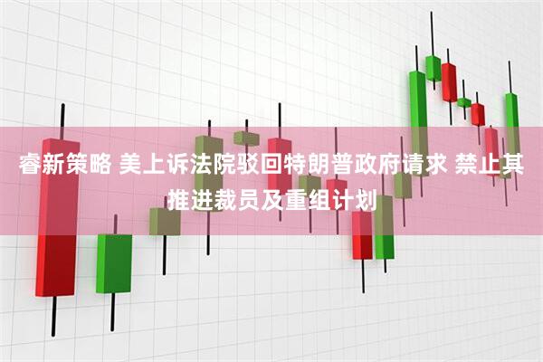 睿新策略 美上诉法院驳回特朗普政府请求 禁止其推进裁员及重组计划