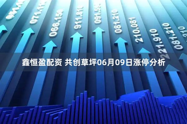 鑫恒盈配资 共创草坪06月09日涨停分析