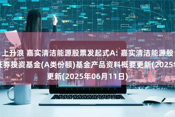 上升浪 嘉实清洁能源股票发起式A: 嘉实清洁能源股票型发起式证券投资基金(A类份额)基金产品资料概要更新(2025年06月11日)