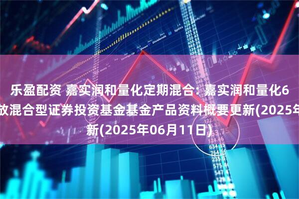 乐盈配资 嘉实润和量化定期混合: 嘉实润和量化6个月定期开放混合型证券投资基金基金产品资料概要更新(2025年06月11日)