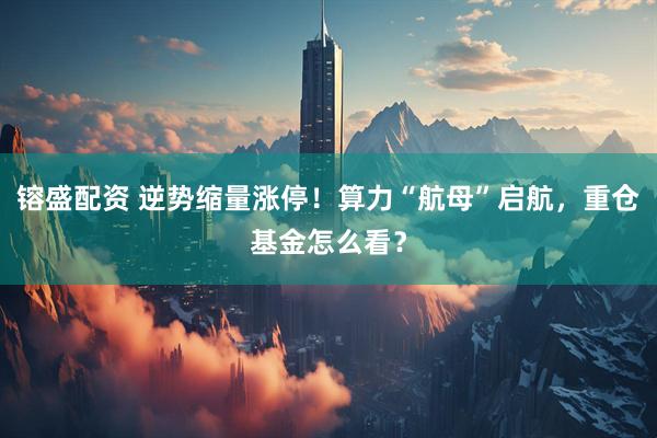镕盛配资 逆势缩量涨停！算力“航母”启航，重仓基金怎么看？