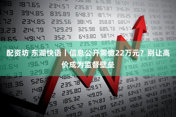配资坊 东湖快语丨信息公开需缴22万元？别让高价成为监督壁垒