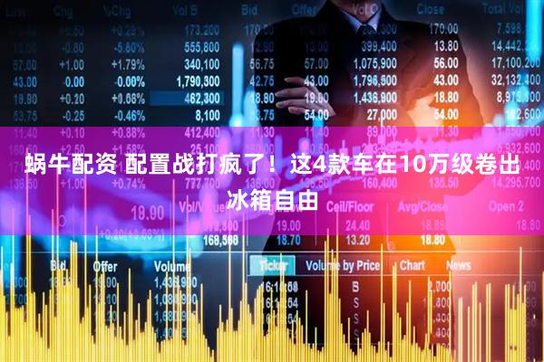 蜗牛配资 配置战打疯了！这4款车在10万级卷出冰箱自由
