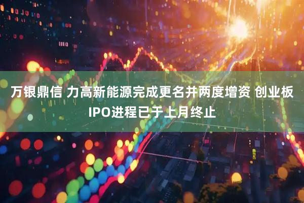 万银鼎信 力高新能源完成更名并两度增资 创业板IPO进程已于上月终止