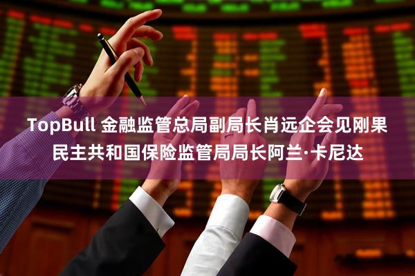 TopBull 金融监管总局副局长肖远企会见刚果民主共和国保险监管局局长阿兰·卡尼达