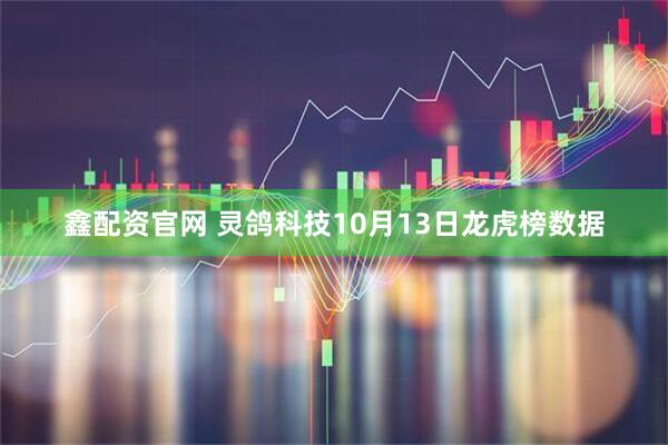 鑫配资官网 灵鸽科技10月13日龙虎榜数据